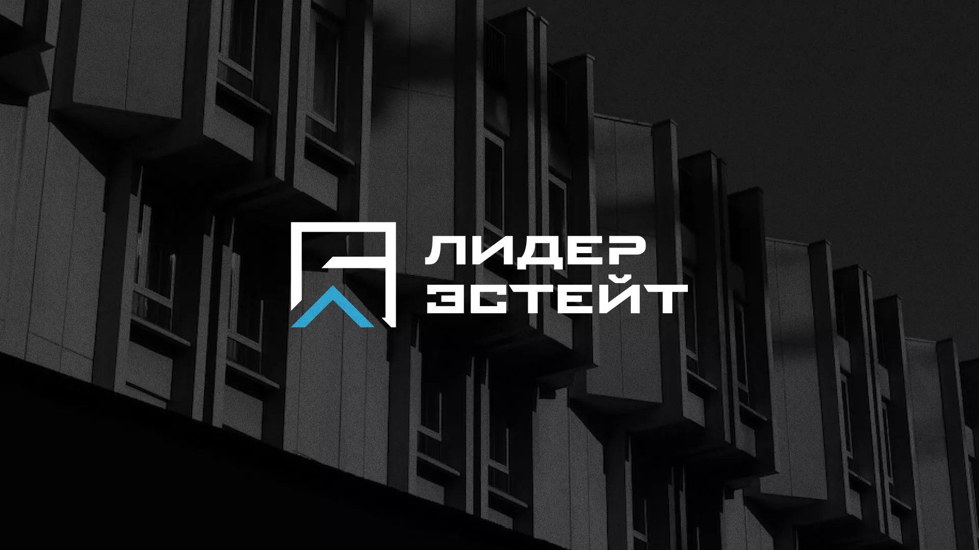 Разработка логотипа агентства недвижимости «Лидер Эстейт» в Электрогорске